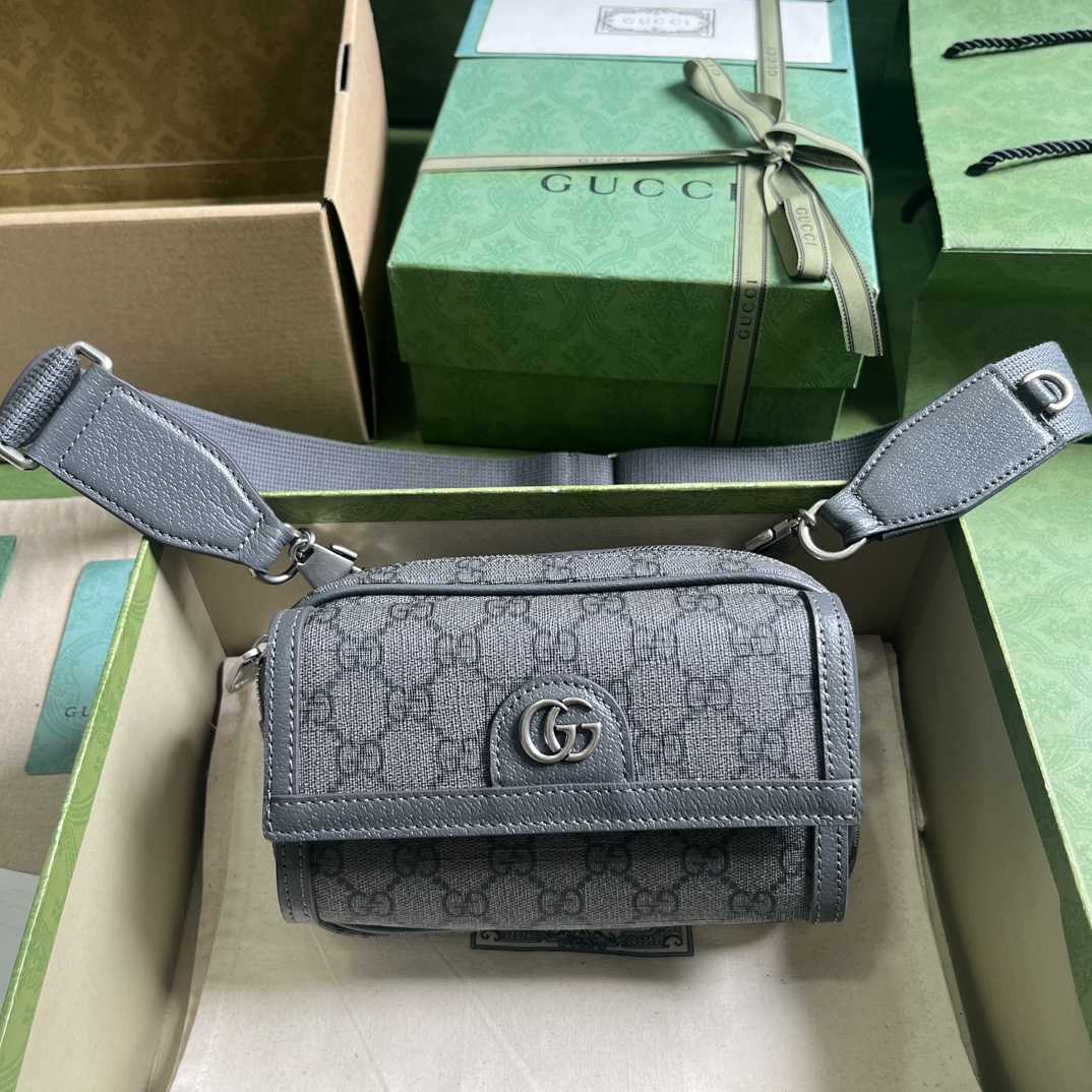 Gucci Ophidia GG Mini Bag(20-12.5-9cm)    - PerfectKickZ