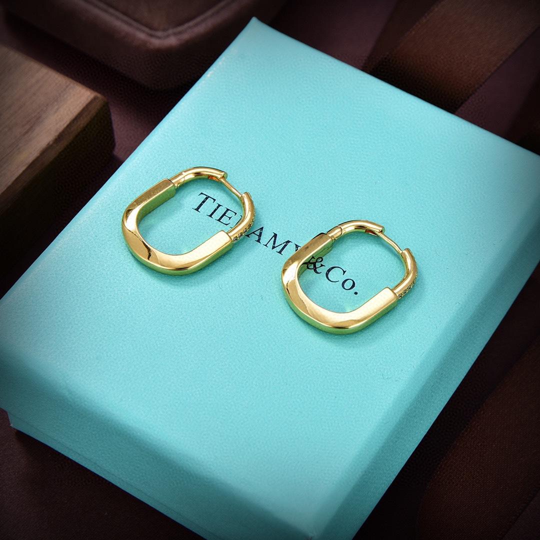 Tiffany&CO Earrings - PerfectKickZ