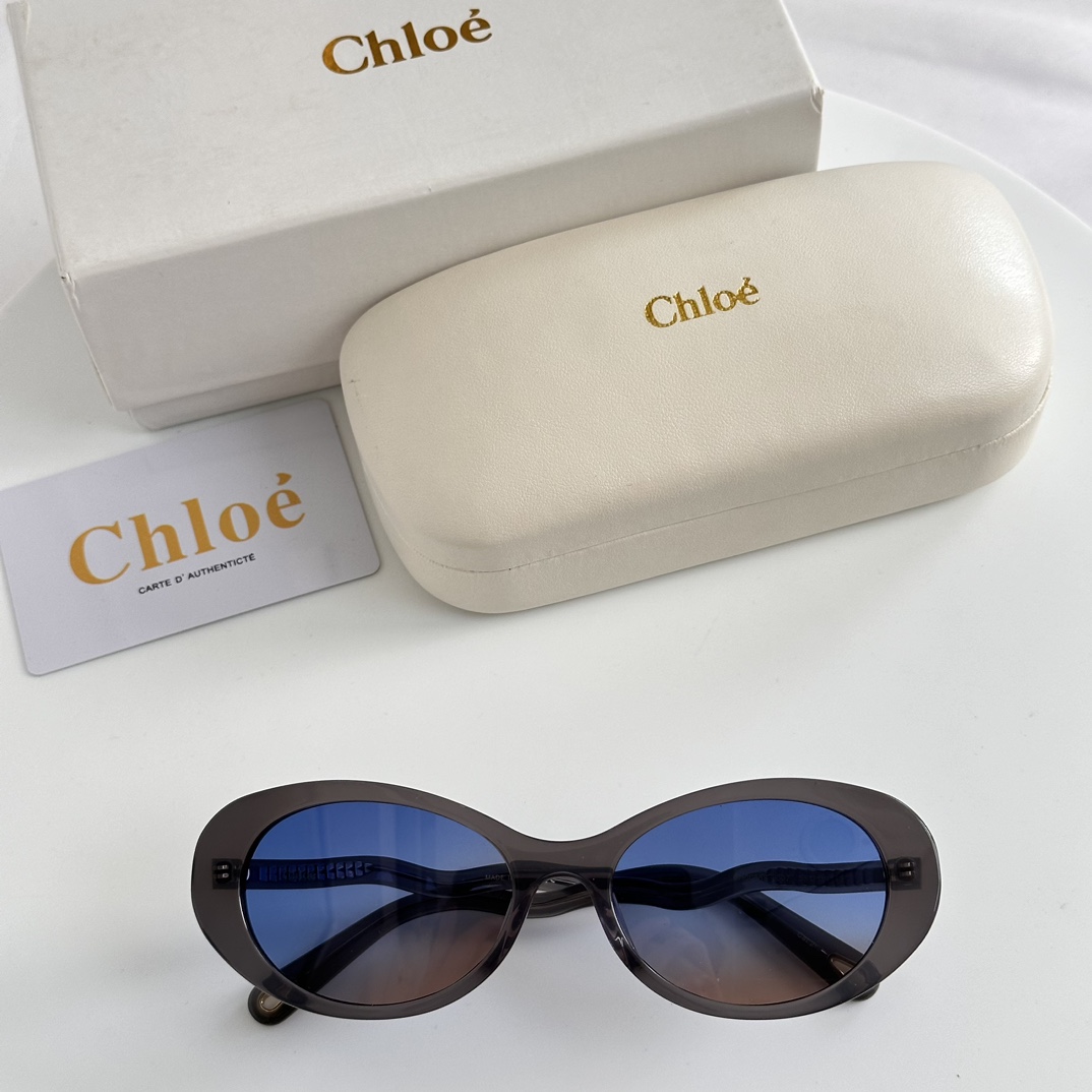 Chloe Eyewear Oval Frame Sunglasses   CH0088S - PerfectKickZ